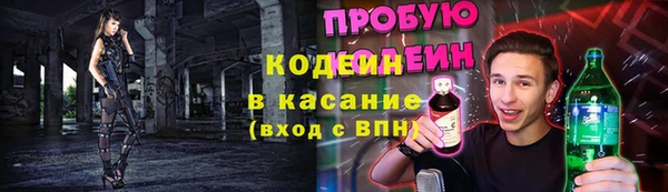 молекула духа Богородск
