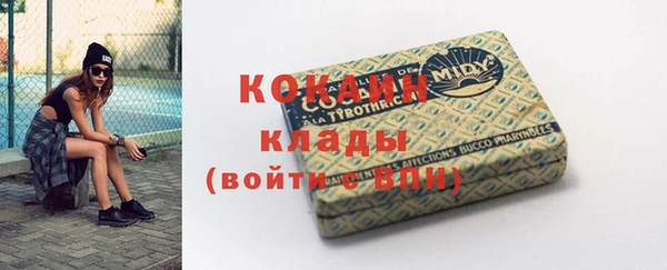 молекула духа Богородск