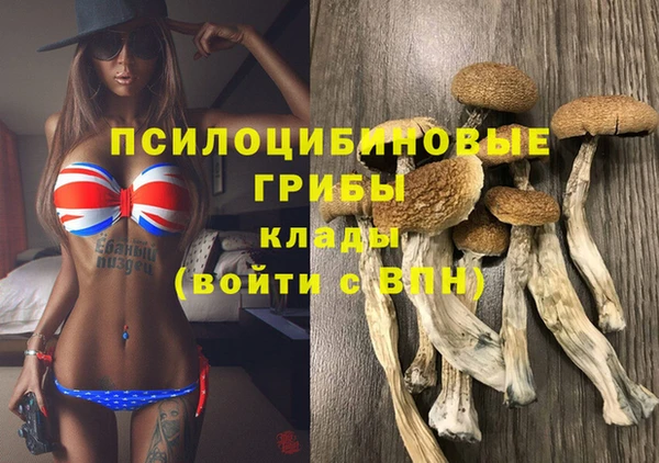 винт Богородицк