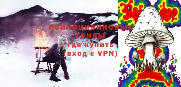 винт Богородицк